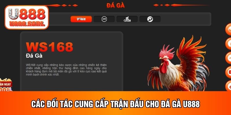 Các đối tác cung cấp trận đấu cho đá gà U888