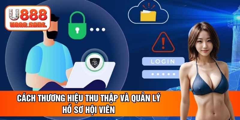Cách thương hiệu thu thập và quản lý hồ sơ hội viên
