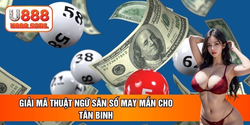 Giải mã thuật ngữ săn số may mắn cho tân binh